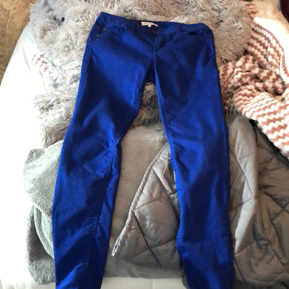 Pants